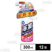 浴室クレンジング 300ml