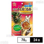 もぎたてトロピカル 70g