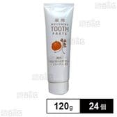 【医薬部外品】 薬用ISKデンタルクリーム(薬用歯磨き) 120g