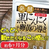 発酵黒にんにく＋卵黄の導き 360粒(約6か月分)