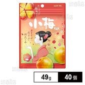 小梅グミ 49g