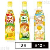 クラフトシロップ (希釈用) 3種セット