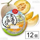 大満足夕張メロン 285g