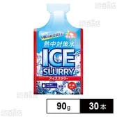 熱中対策水 アイススラリー ライチ 90g