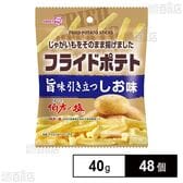 フライドポテト しお味 40g