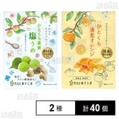 南信州菓子工房 ひとくち果実塩うめ 20g / ひとくち清見オレンジ 24g