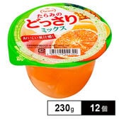 たらみ たらみのどっさり ミックス 230g×12個