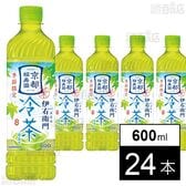 伊右衛門 冷茶仕立て 600ml