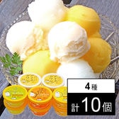 Made in 土佐のアイスクリンと柑橘シャーベットセット 4種計10個