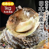 【1キロ】《冷凍便》日本海産さざえ 獲れたてサザエを高鮮度急速冷凍