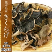きくらげ 乾燥木耳ホール【計40g(20g×2袋)】 熊本県産