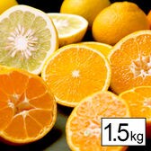 【1.5kg】愛媛県産柑橘お味見セット(詰め合わせ)