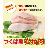 【4kg(2kg2パックでの発送)】つくば鶏 むね肉 (茨城県産)(特別飼育鶏)