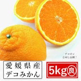 【約5kg】愛媛県産 デコみかん(良品)