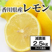 【約2.5kg】香川県産 レモン 減農薬 (多少の傷あり・サイズ混合)