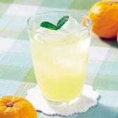 【1000ml×2本】希釈ゆずドリンク ［純国産・無添加］