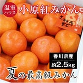 【約2.5kg(S-M)】香川県産 温室ハウス小原紅みかん(秀品)