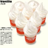 【北海道】低温殺菌牛乳ソフトクリームセット(バニラ10個)/北海道赤井川山中牧場乳使用バニラソフト