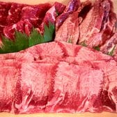 【450g】焼肉 炸 人気のヘルシー3種盛り焼肉・BBQセット ー大阪堺市地域物産応援特集ー