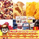 【5袋】ドライフルーツ ドライフルーツミックス 正栄食品