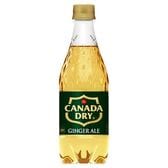 【48本】カナダドライジンジャーエール 500mlPET