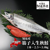 ＜着日指定不可＞ 北海道知床産 筋子入生秋鮭 1本・2.5kg-3.0kg（いくら醤油漬のタレ付）