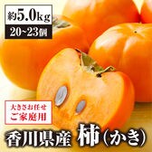 【予約】10/20~順次出荷 【約5.0kg】香川県産柿(ご家庭用・サイズ混合)