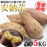 【5kgセット】 鹿児島県産安納芋 FJK-002