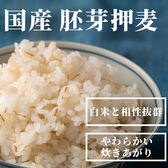 【3kg(500g×6袋)】国産胚芽押麦 (雑穀米・チャック付き)