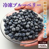 【500g】山形産冷凍ブルーベリー