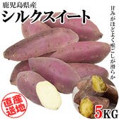 【5kgセット】 鹿児島県産シルクスイート ngs-004
