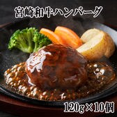 【1.2kg】宮崎和牛ハンバーグ（120g×10個）