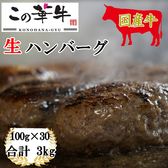 【30個(1個あたり100g)】九州産この華牛 生ハンバーグ