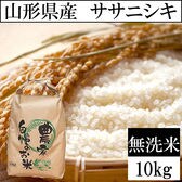 【10kg】令和4年産 山形県産 ササニシキ 無洗米 当日精米なので鮮度抜群♪