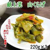 【220g×3袋】献上菜 山クラゲ