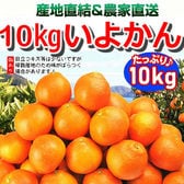 【約10kg】愛媛県産 伊予柑(いよかん)(ご家庭用・傷あり)