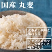 【200kg(20kg×10袋)】国産丸麦【業務用サイズ】