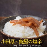 【計500g（100g×5袋）】鮑屋が作る『塩辛』小田原