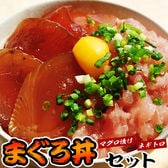 【10食】鉄火丼5袋・ねぎとろ丼5袋 マグロ丼セット