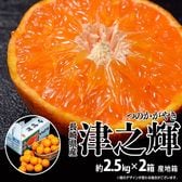 【計5キロ(約2.5kg×2箱　2S〜L)】津之輝（つのかがやき）　長崎県産柑橘