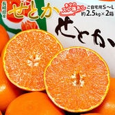【計5kg(S〜L) 】JA長崎せいひ『せとか』長崎県産 柑橘