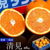 【約5kg】JAにしうわ三崎共選『規格外 越冬樹熟 清見オレンジ』愛媛県産
