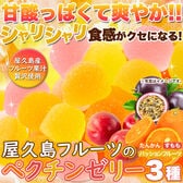 【お徳用500g】屋久島フルーツのペクチンゼリー3種500g(パッションフルーツ、たんかん、すもも)