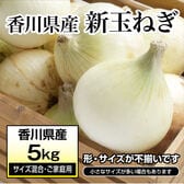 【約5kg(サイズ混合・ご家庭用)】新たまねぎ 香川県産  旬の採れたて新玉ねぎをお届け