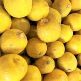 【約1kg】 瀬戸内産 国産レモン(ご家庭用・傷あり)2セット申込で1セットおまけ