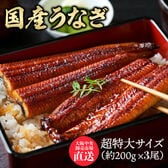 【3尾】特大サイズ 国産うなぎ 蒲焼き（約200g×3尾）大阪中央卸売市場より直送！
