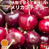 【約1kg】アメリカ産 アメリカンチェリー (良品)ビッグサイズ