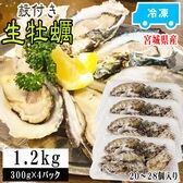【1.2kg(20~28個入り)】 宮城県産蒸し牡蠣 冷凍