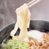 【9食】平切り讃岐うどん（300g×3）