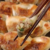 【計60個入り】神戸南京町 「大同行」謹製　一口餃子